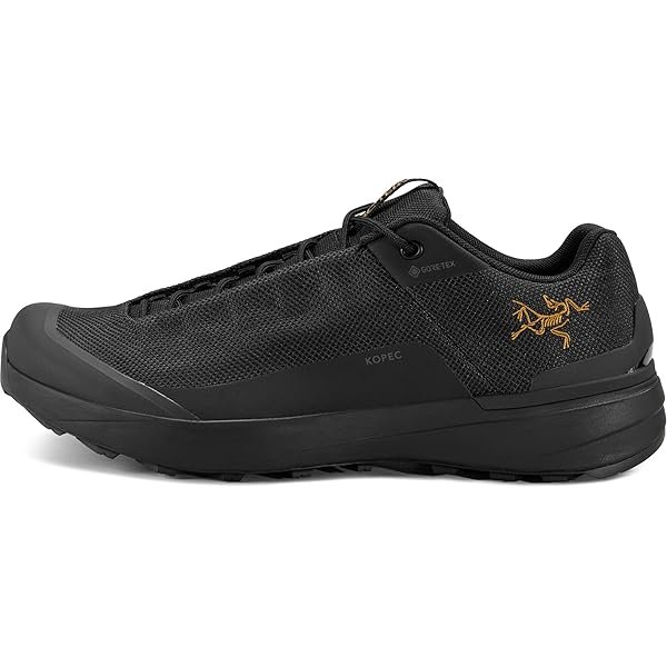Amazon.com: Arc'teryx Konseal GTX Men's | Waterproof Approach Shoe